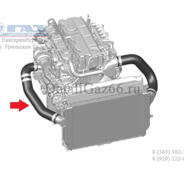 Шланг охладителя наддув. воздуха дв. ЯМЗ-534 ГАЗон NEXT (силикон) (ДАРВИН ПЛЮС, г. Москва) /С41R13-1172113/