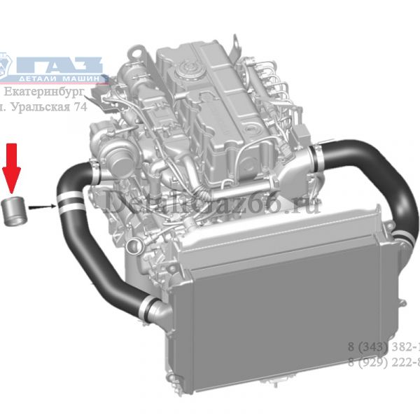 Трубка соединит. охладителя ГАЗ-33096, ГАЗон NEXT (ПАО "ГАЗ") /33096-1172079/