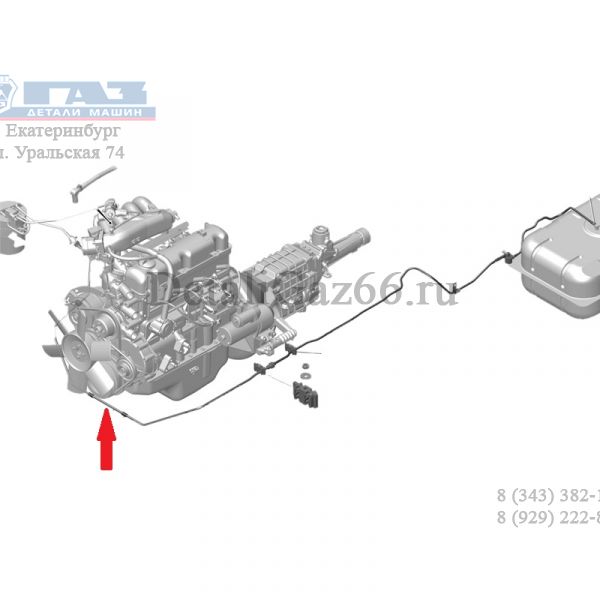 Трубка паропровода адсорбера ГАЗель, Соболь (от бака передняя) (ТИССАН ООО  ГАЗ) /3302-1164198/