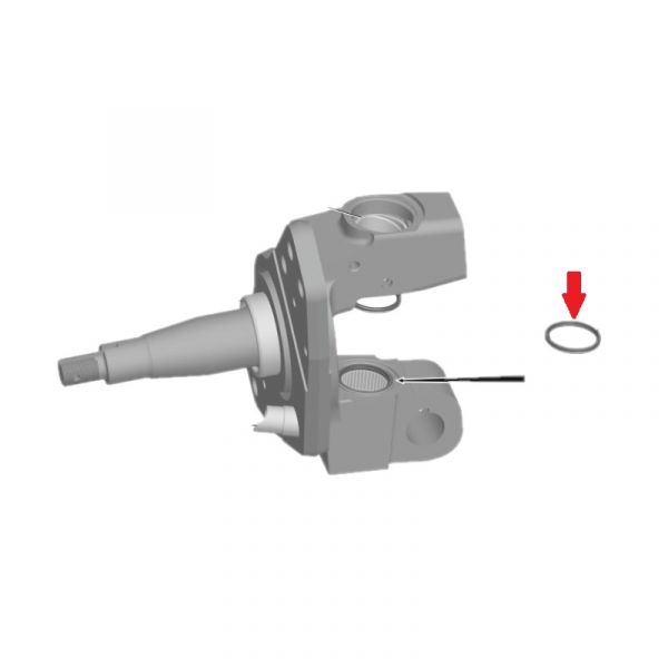 Кольцо уплотнительное шкворня ГАЗон NEXT (10 т.) (ООО "РТИ - Альтернатива"  ГАЗ) /С40R13-3001018/