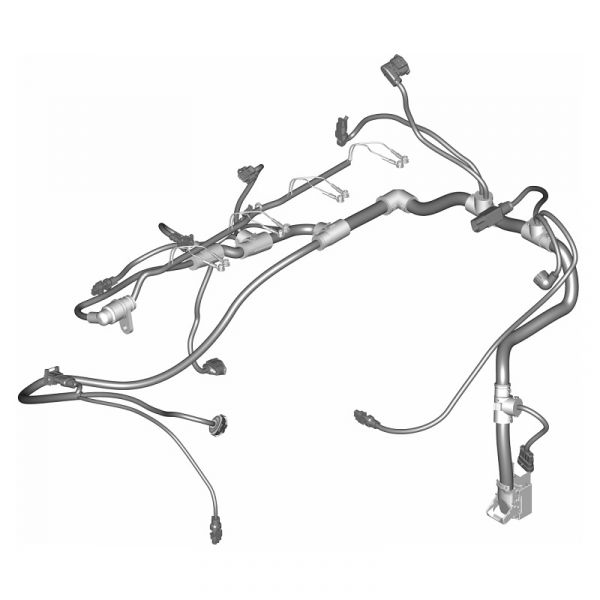 Автопроводка жгут ГАЗон NEXT дв. 53445 (ПАО "Автодизель"(ЯМЗ)) /53445.3724012-20/