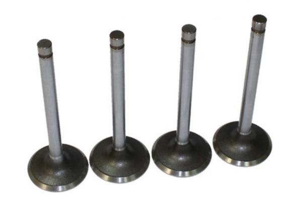 Клапан впускной дв. УМЗ-А274 Evotech ГАЗель NEXT (ООО "Клапан" г.Челябинск Оригинал) /А274.1007010-Ч/