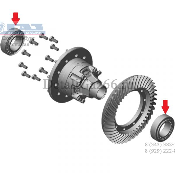 Подшипник дифференциала ГАЗель NEXT (4,6 т.) (REG Auto (Shanghai) Industry Ltd, Китай) /JМ205149/JМ205110Р6/