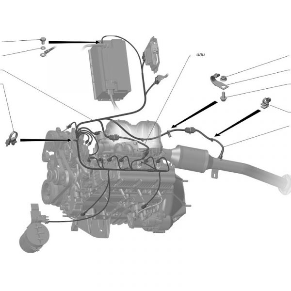 Автопроводка жгут ГАЗель NEXT дв. А274 Evotech (ООО "Арзамасское ПО Автопровод", г.Арзамас) /А21R23.3761581-11/