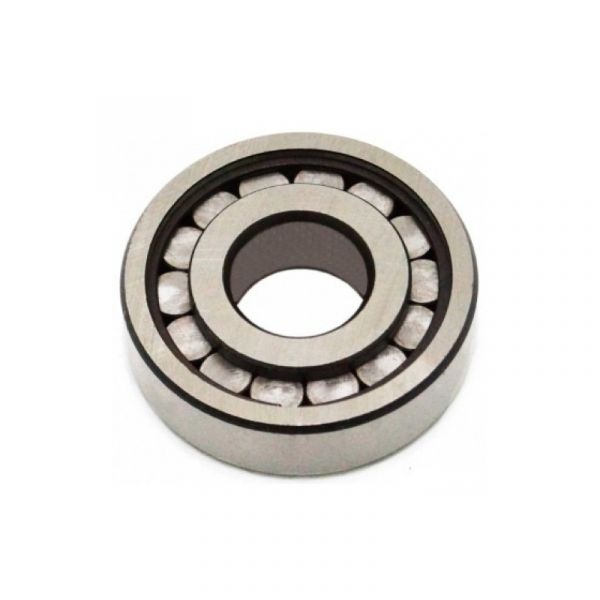 Подшипник 102304 внутр. дифференциала ГАЗель, Соболь п/п (ООО "Торговый Дом ЕПК" ГАЗ Оригинал) /.102304М/