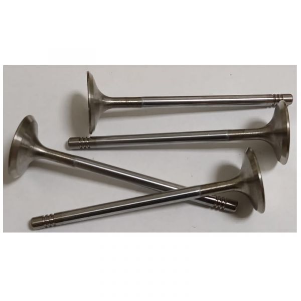 Клапан впускной дв. серии "G" (Foton ГАЗ Оригинал) /.РМ40004172/