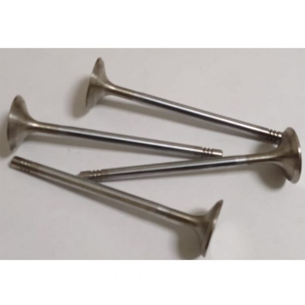 Клапан выпускной дв. серии "G" (Foton ГАЗ Оригинал) /.РМ40004173/