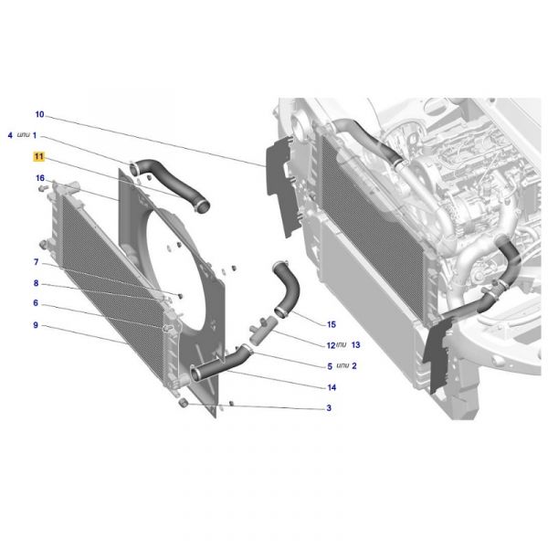 Патрубок радиатора ГАЗель NEXT, Соболь NN дв. серии "G" верхний (ОАО "Балаковорезинотехника"  ГАЗ Оригинал) /А22R32-1303010-30/