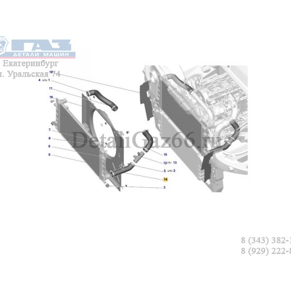 Патрубок радиатора ГАЗель NEXT, Соболь NN дв. серии "G" нижний (ОАО "Балаковорезинотехника"  ГАЗ Оригинал) /А22R32-1303025-20/