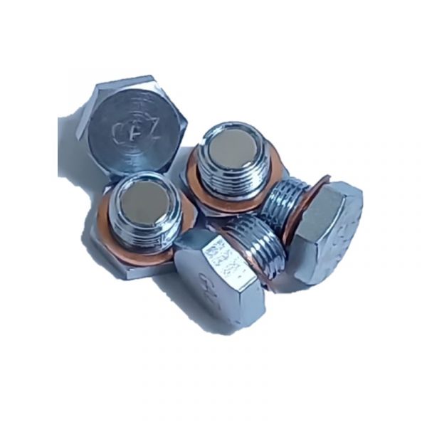 Пробка КПП (сливная) с магнитом (М18х1,5) (ООО "Флайг+Хоммель" ГАЗ Оригинал) /С40R13.1701098/