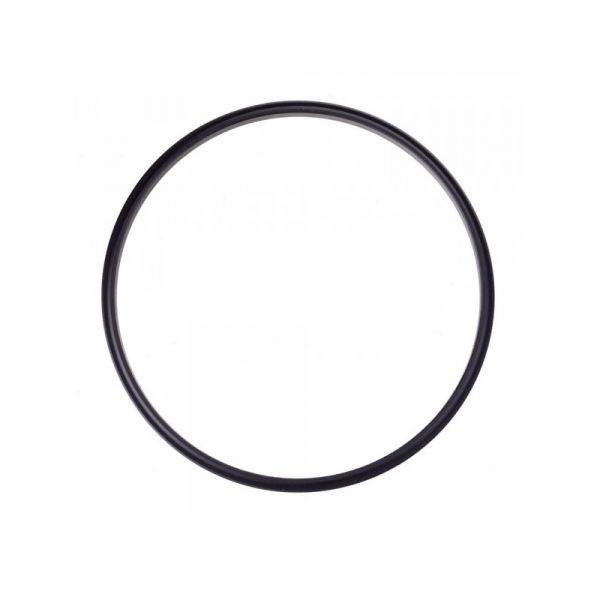 Прокладка модуля погружного насоса Волга, ГАЗель, Соболь (ЧАЙКОВСКИЙ ЗАВОД РТД) /3111-1101022/