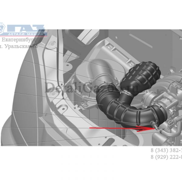 Трубка вентиляции картера дв. УМЗ-А274 (НПФ "ВИТАЛ"  ГАЗ) /33023-1109246/