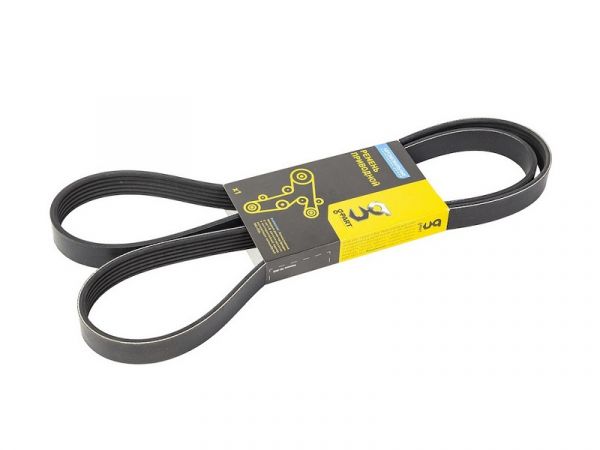 Ремень 1630 (6PK) дв. 560 с ГУР (в упак. g-PART) /GP.10220030/