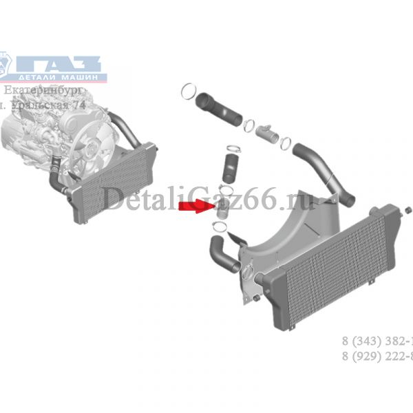 Труба соединительная шлангов охладителя ГАЗель NEXT дв. "G" (ООО "Автомобильный завод "ГАЗ") /А21R22-1172145/