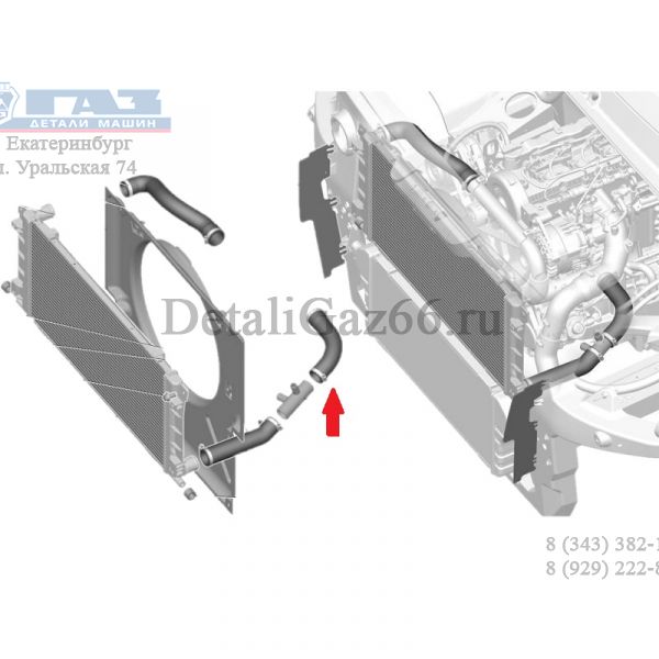 Патрубок радиатора ГАЗель NEXT, Соболь NN дв. серии "G" (ОАО "Балаковорезинотехника"  ГАЗ Оригинал) /А22R32-1303025-30/