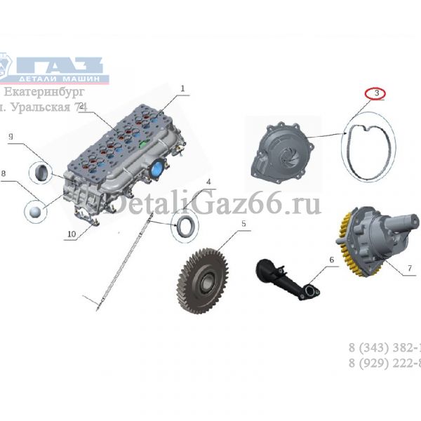 Прокладка помпы дв. серии "G" (Foton ГАЗ Оригинал) /.РМ40006084/