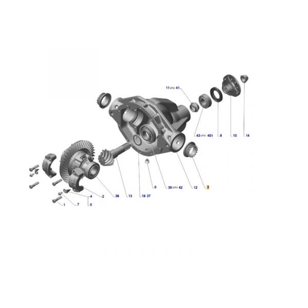 Гайка регулировки подшипника зад. моста Волга (Газель мост спайсер) (ПАО "ГАЗ" Оригинал) /3102-2403040/